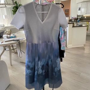 Mesh dress by Elie Tahari